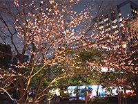 サロン開催報告